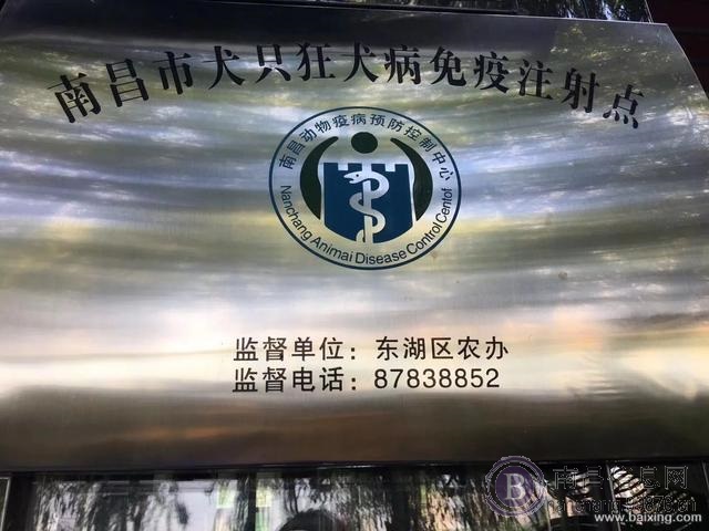 南昌挚爱宠物医院靠谱的老牌宠物医院
