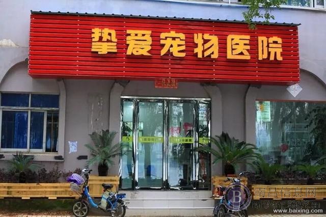 南昌挚爱宠物医院靠谱的老牌宠物医院