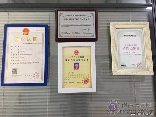 南昌挚爱宠物医院靠谱的老牌宠物医院